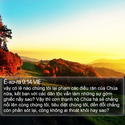 Ê-xơ-ra 9:14 VIE Bible Verse Image