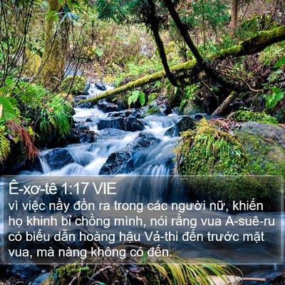 Ê-xơ-tê 1:17 VIE Bible Verse Image