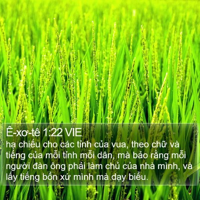 Ê-xơ-tê 1:22 VIE Bible Verse Image