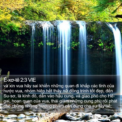 Ê-xơ-tê 2:3 VIE Bible Verse Image