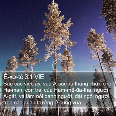 Ê-xơ-tê 3:1 VIE Bible Verse Image