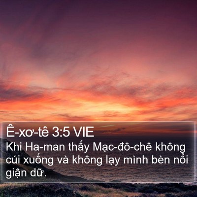 Ê-xơ-tê 3:5 VIE Bible Verse Image