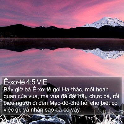 Ê-xơ-tê 4:5 VIE Bible Verse Image