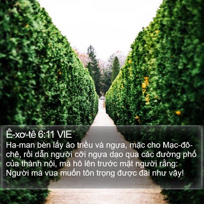 Ê-xơ-tê 6:11 VIE Bible Verse Image