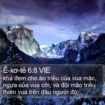 Ê-xơ-tê 6:8 VIE Bible Verse Image