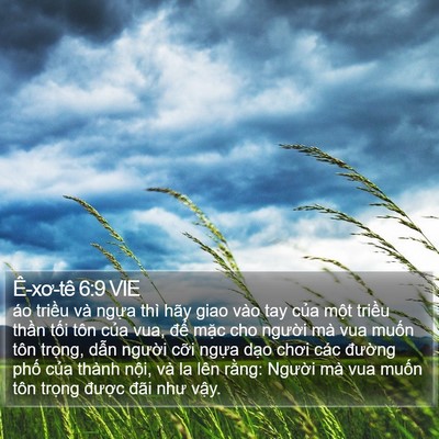 Ê-xơ-tê 6:9 VIE Bible Verse Image