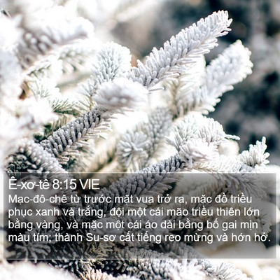 Ê-xơ-tê 8:15 VIE Bible Verse Image