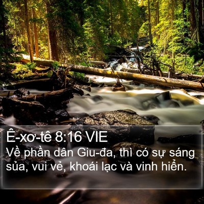 Ê-xơ-tê 8:16 VIE Bible Verse Image