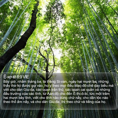 Ê-xơ-tê 8:9 VIE Bible Verse Image