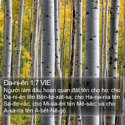 Ða-ni-ên 1:7 VIE Bible Verse Image