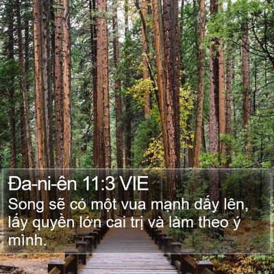 Ða-ni-ên 11:3 VIE Bible Verse Image