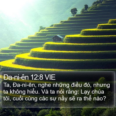 Ða-ni-ên 12:8 VIE Bible Verse Image