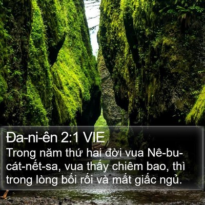 Ða-ni-ên 2:1 VIE Bible Verse Image
