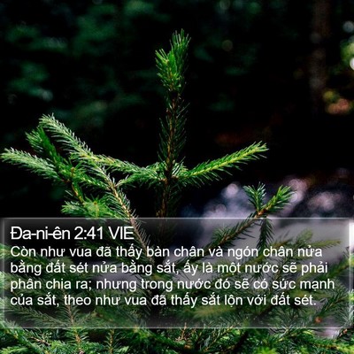 Ða-ni-ên 2:41 VIE Bible Verse Image