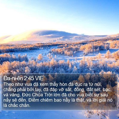 Ða-ni-ên 2:45 VIE Bible Verse Image