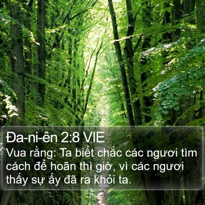 Ða-ni-ên 2:8 VIE Bible Verse Image