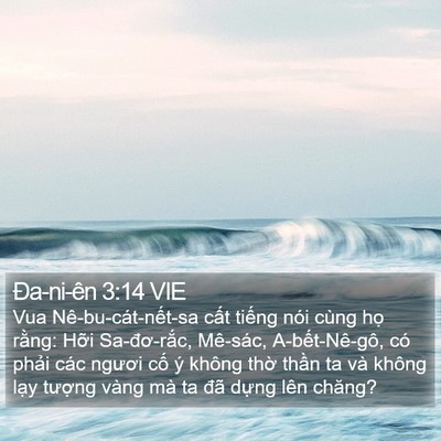 Ða-ni-ên 3:14 VIE Bible Verse Image