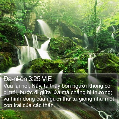 Ða-ni-ên 3:25 VIE Bible Verse Image