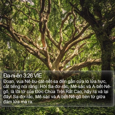 Ða-ni-ên 3:26 VIE Bible Verse Image