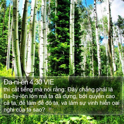 Ða-ni-ên 4:30 VIE Bible Verse Image