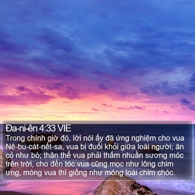 Ða-ni-ên 4:33 VIE Bible Verse Image
