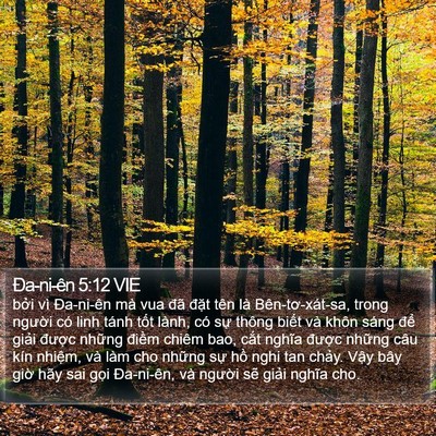 Ða-ni-ên 5:12 VIE Bible Verse Image