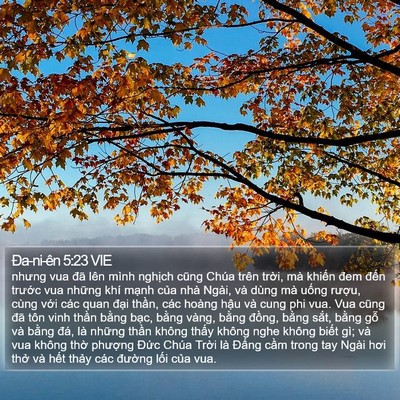 Ða-ni-ên 5:23 VIE Bible Verse Image