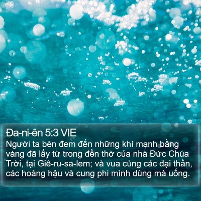 Ða-ni-ên 5:3 VIE Bible Verse Image