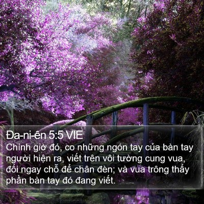 Ða-ni-ên 5:5 VIE Bible Verse Image