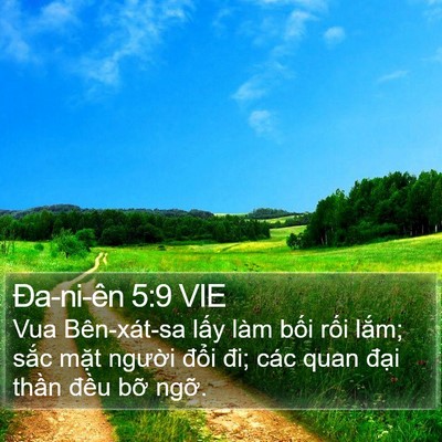 Ða-ni-ên 5:9 VIE Bible Verse Image