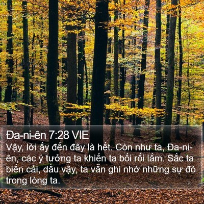 Ða-ni-ên 7:28 VIE Bible Verse Image