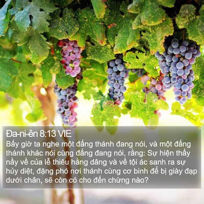 Ða-ni-ên 8:13 VIE Bible Verse Image