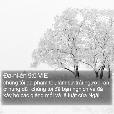 Ða-ni-ên 9:5 VIE Bible Verse Image