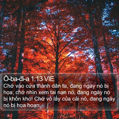 Ô-ba-đi-a 1:13 VIE Bible Verse Image