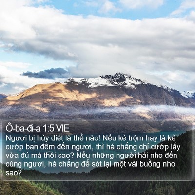 Ô-ba-đi-a 1:5 VIE Bible Verse Image