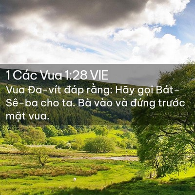 Picture 02 - 1 Các Vua 1:28 VIE - Vua Đa-vít đáp rằng: Hãy gọi Bát-Sê-ba - Bible Verse Picture