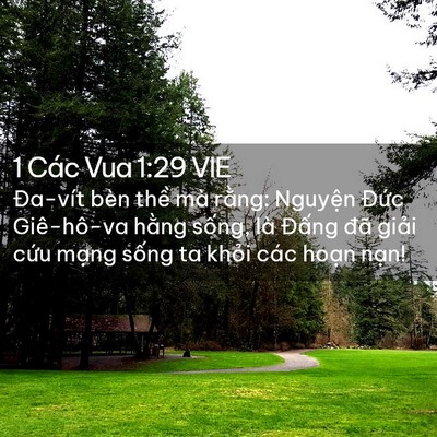 Picture 02 - 1 Các Vua 1:29 VIE - Đa-vít bèn thề mà rằng: Nguyện Đức - Bible Verse Picture