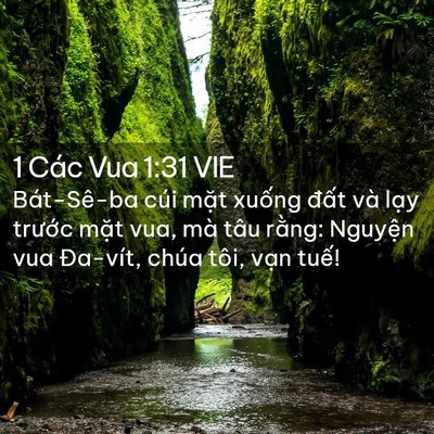 Picture 02 - 1 Các Vua 1:31 VIE - Bát-Sê-ba cúi mặt xuống đất và lạy - Bible Verse Picture