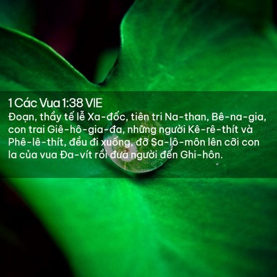 Picture 02 - 1 Các Vua 1:38 VIE - Đoạn, thầy tế lễ Xa-đốc, tiên tri - Bible Verse Picture