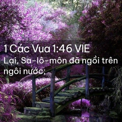 Picture 02 - 1 Các Vua 1:46 VIE - Lại, Sa-lô-môn đã ngồi trên ngôi - Bible Verse Picture