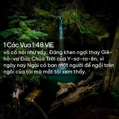 Picture 02 - 1 Các Vua 1:48 VIE - và có nói như vầy: Đáng khen ngợi thay - Bible Verse Picture