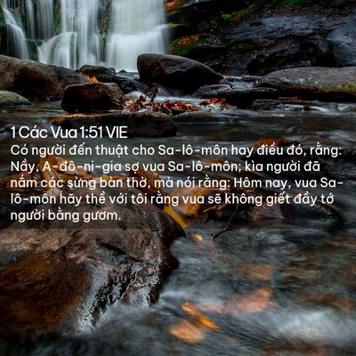 Picture 02 - 1 Các Vua 1:51 VIE - Có người đến thuật cho Sa-lô-môn hay - Bible Verse Picture
