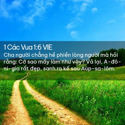 Picture 02 - 1 Các Vua 1:6 VIE - Cha người chẳng hề phiền lòng người - Bible Verse Picture