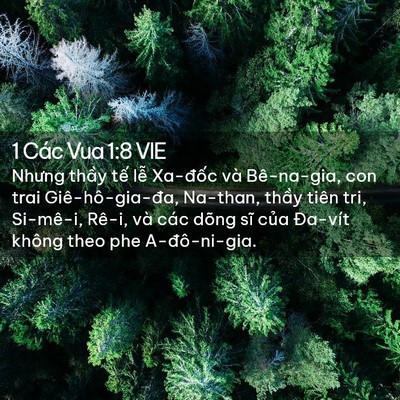 Picture 02 - 1 Các Vua 1:8 VIE - Nhưng thầy tế lễ Xa-đốc và Bê-na-gia, - Bible Verse Picture