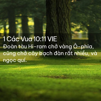 Picture 02 - 1 Các Vua 10:11 VIE - Đoàn tàu Hi-ram chở vàng Ô-phia, cũng - Bible Verse Picture