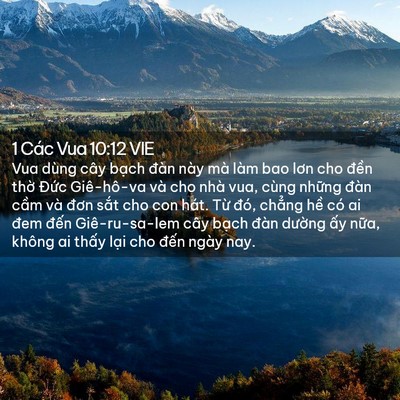 Picture 02 - 1 Các Vua 10:12 VIE - Vua dùng cây bạch đàn này mà làm bao - Bible Verse Picture