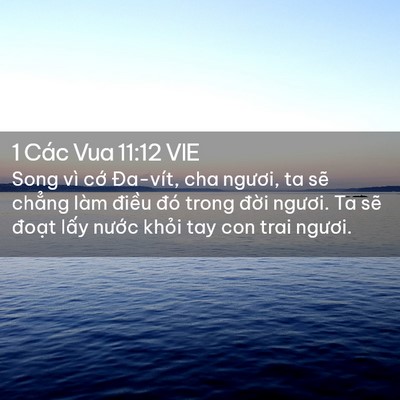 Picture 02 - 1 Các Vua 11:12 VIE - Song vì cớ Đa-vít, cha ngươi, ta sẽ - Bible Verse Picture