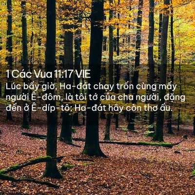 Picture 02 - 1 Các Vua 11:17 VIE - Lúc bấy giờ, Ha-đát chạy trốn cùng - Bible Verse Picture