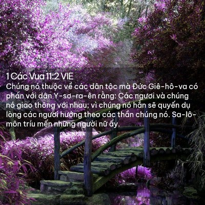 Picture 02 - 1 Các Vua 11:2 VIE - Chúng nó thuộc về các dân tộc mà - Bible Verse Picture