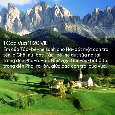 Picture 02 - 1 Các Vua 11:20 VIE - Em của Tác-bê-ne sanh cho Ha-đát một con - Bible Verse Picture
